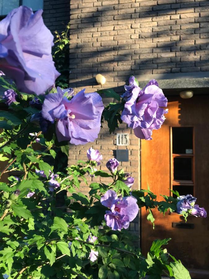 Eikenburg B&B Αϊντχόφεν Εξωτερικό φωτογραφία